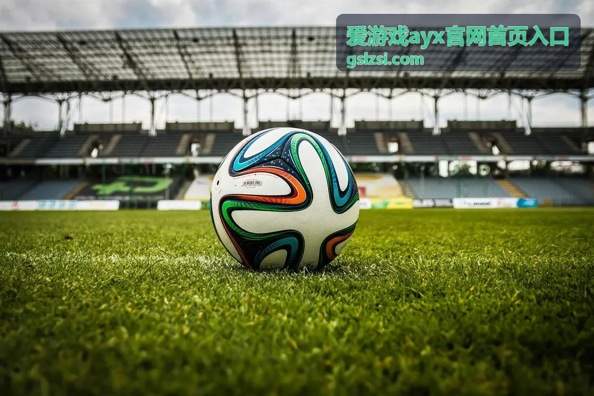 爱游戏ayx玩法指引首页区域分布示意