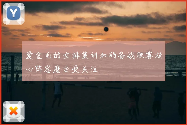 爱金毛的女排集训加码备战联赛核心阵容磨合受关注