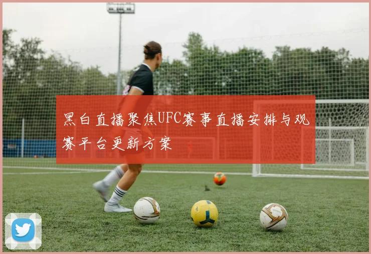 黑白直播聚焦UFC赛事直播安排与观赛平台更新方案
