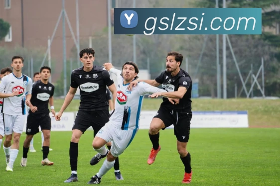 世界杯官方入口平台生态图